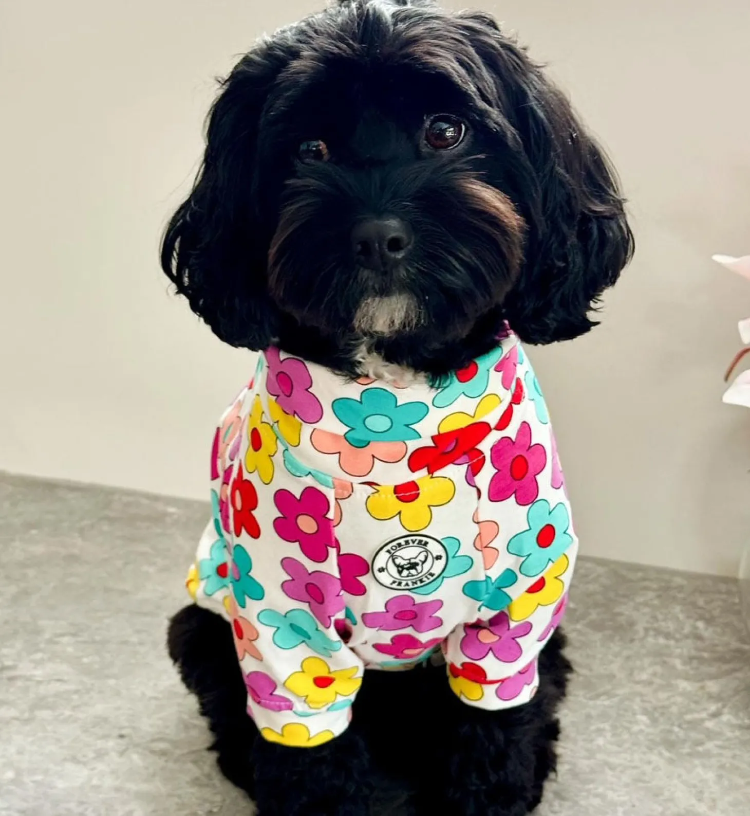 Autumn Flowers Dog Skivvie (Limited Edition)