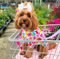 Autumn Flowers Dog Skivvie (Limited Edition)