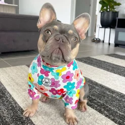 Autumn Flowers Dog Skivvie (Limited Edition)