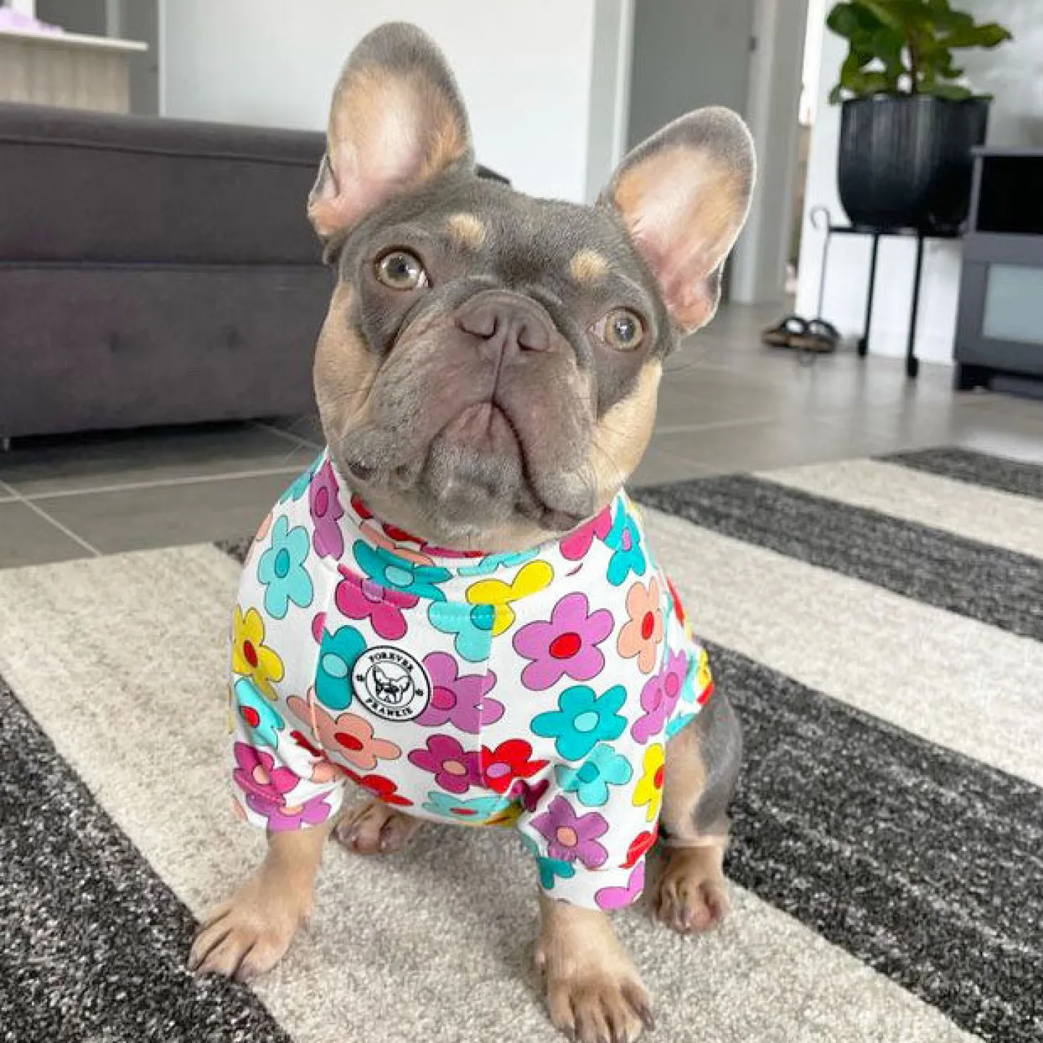 Autumn Flowers Dog Skivvie (Limited Edition)