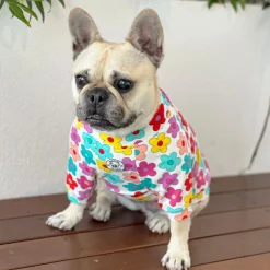 Autumn Flowers Dog Skivvie (Limited Edition)