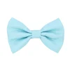 Baby Blue - Bow Tie