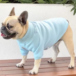 Blue Boy Dog Skivvie