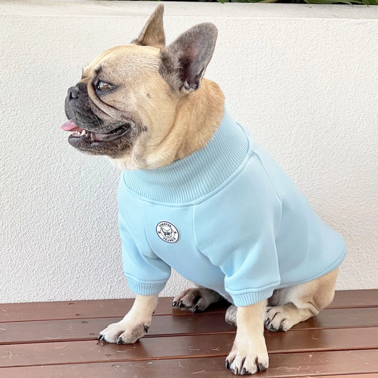 Blue Boy Dog Skivvie