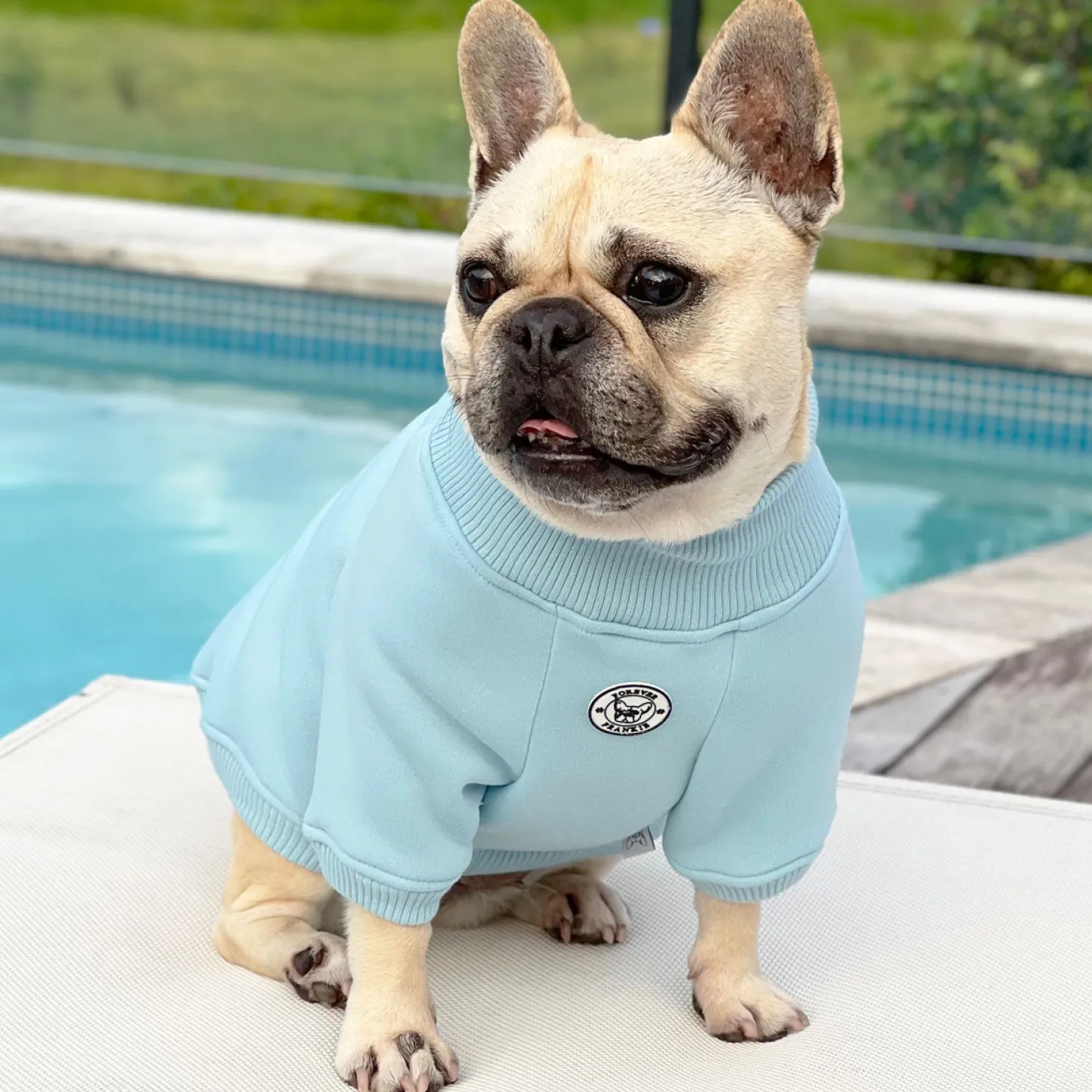 Blue Boy Dog Skivvie