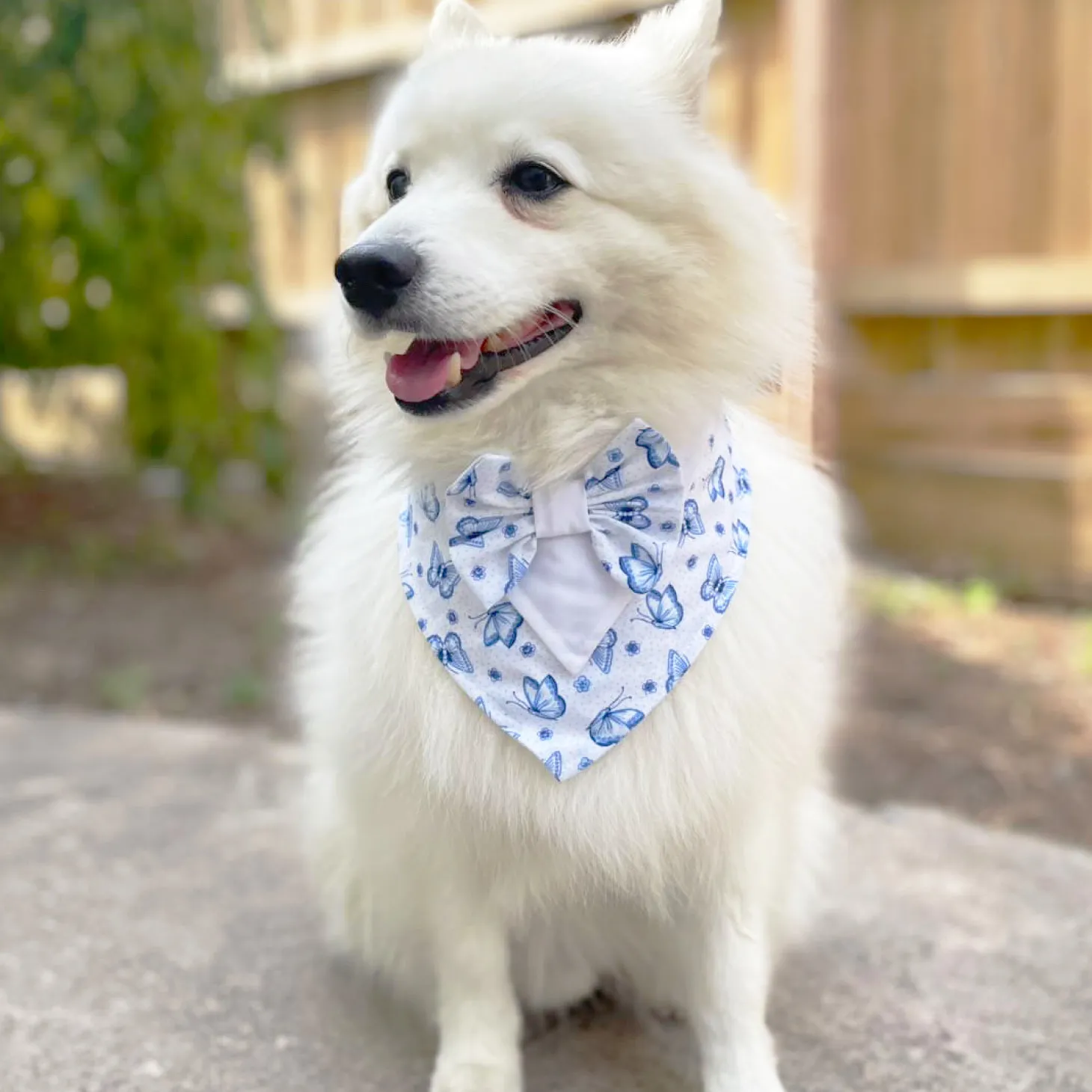 Blue Butterflies on white - Bandana
