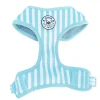 Blue Candy Stripe - Adjustable Harness