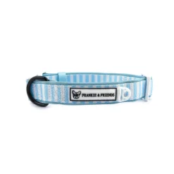 Blue Candy Stripe - Collar