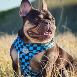 Blue Checkers - Adjustable Harness