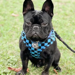 Blue Checkers - Adjustable Harness