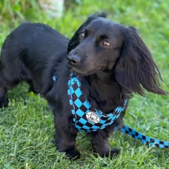 Blue Checkers - Adjustable Harness