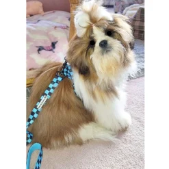 Blue Checkers - Adjustable Harness