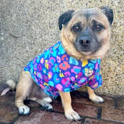 Blue Cheetah Party - Sun & Sand Rashie UV 50+