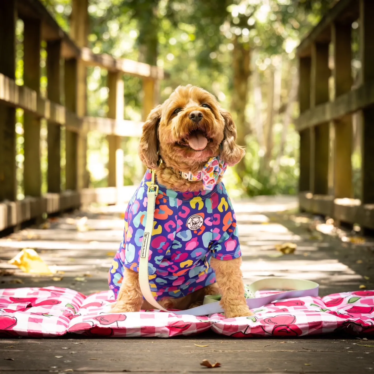 Blue Cheetah Party - Sun & Sand Rashie UV 50+