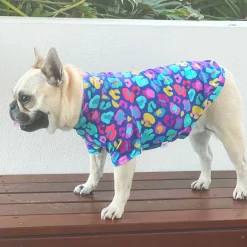 Blue Cheetah Party - Sun & Sand Rashie UV 50+