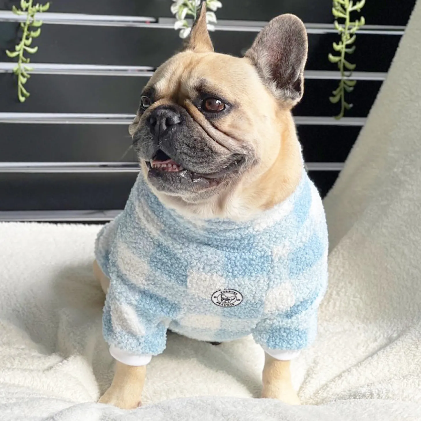 Blue Plaid Dog Skivvy