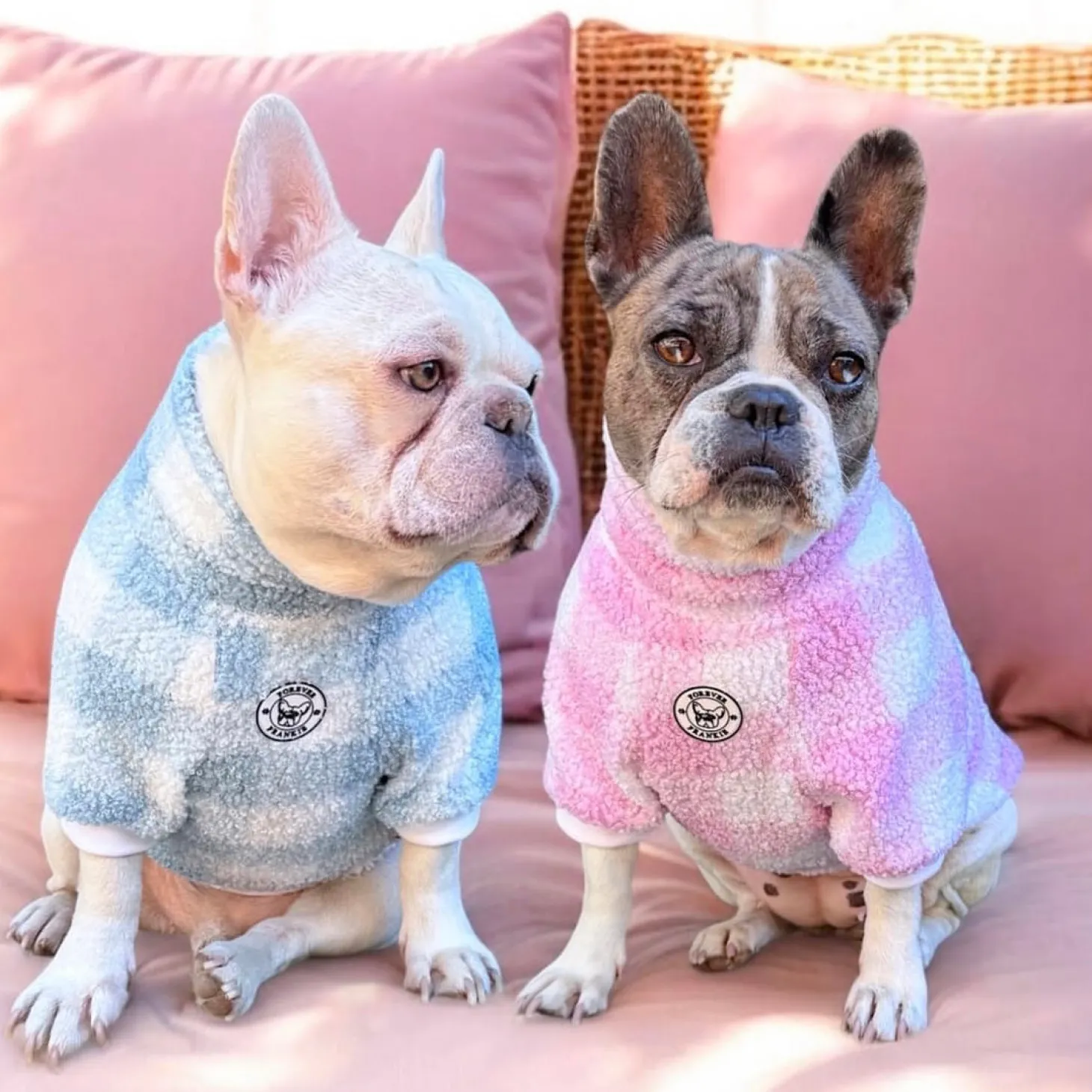 Blue Plaid Dog Skivvy