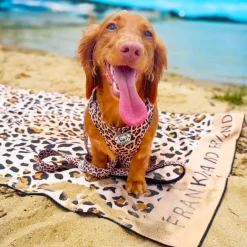 Born to be Wild - Adjustable Harness