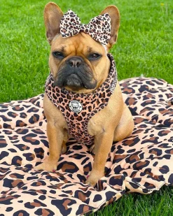 Born To Be Wild - Adventure Mat