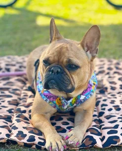 Born To Be Wild - Adventure Mat