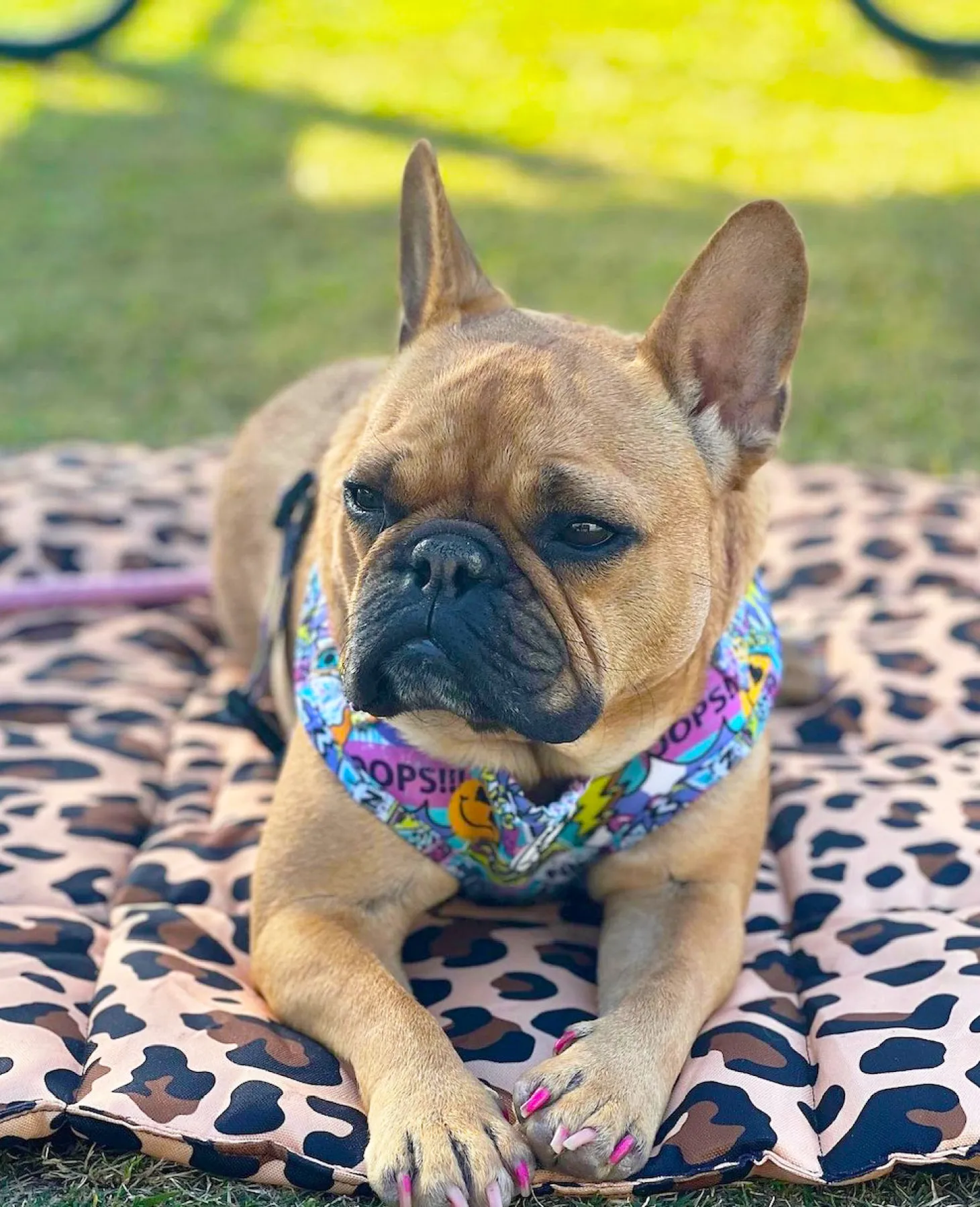 Born To Be Wild - Adventure Mat