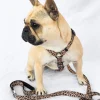Born to be Wild - Strap Harness