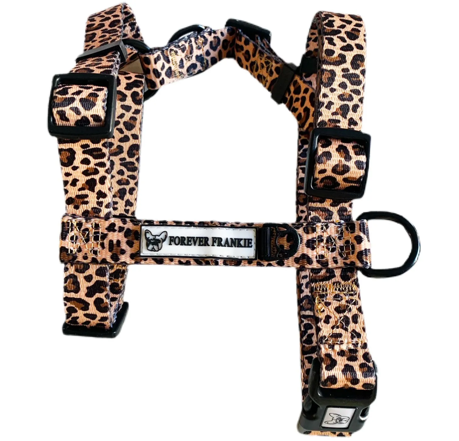 Born to be Wild - Strap Harness