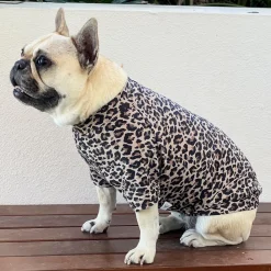 Born to be Wild - Sun & Sand Rashie UV 50+