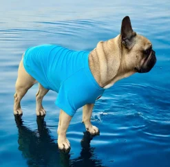 Bright Blue - Specialised Ribbed Sun & Sand Rashie UV 50+