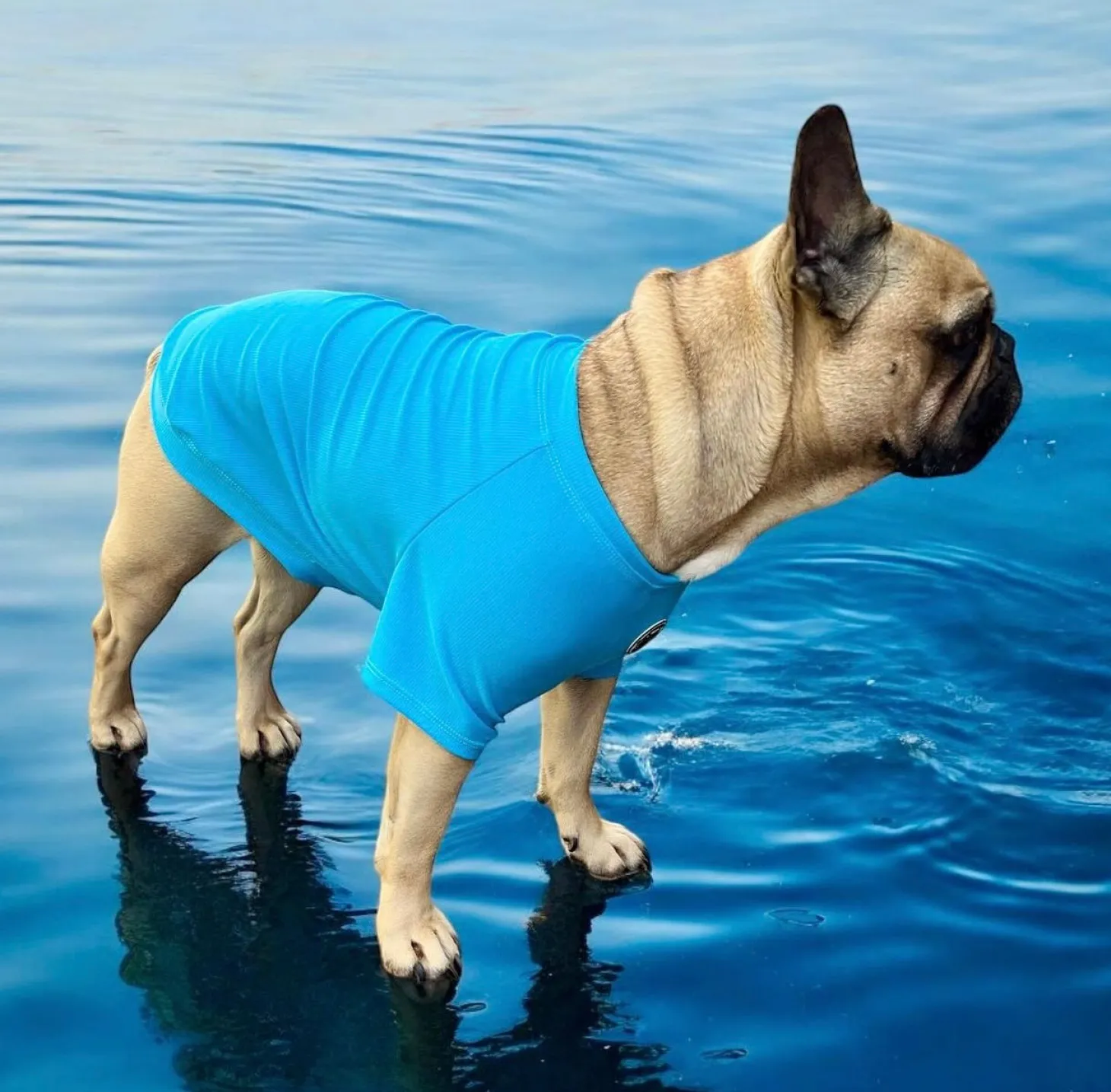 Bright Blue - Specialised Ribbed Sun & Sand Rashie UV 50+