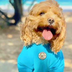 Bright Blue - Specialised Ribbed Sun & Sand Rashie UV 50+