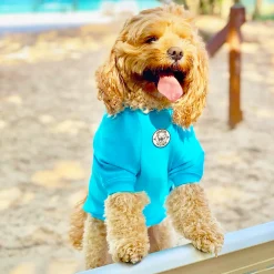 Bright Blue - Specialised Ribbed Sun & Sand Rashie UV 50+