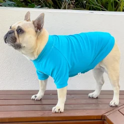 Bright Blue - Specialised Ribbed Sun & Sand Rashie UV 50+