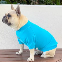 Bright Blue - Specialised Ribbed Sun & Sand Rashie UV 50+