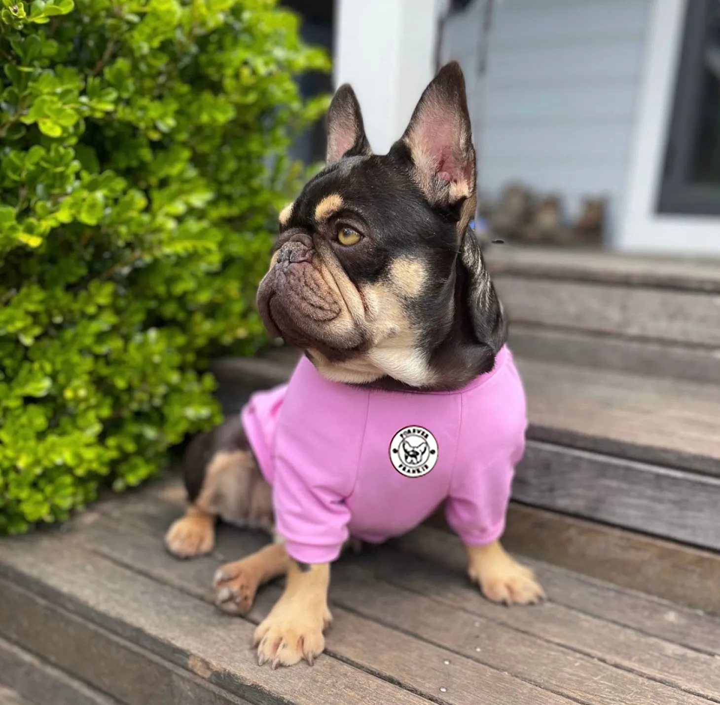 Bubblegum Blush - Sun & Sand Rashie UV 50+