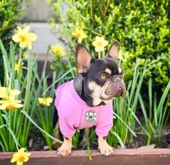 Bubblegum Blush - Sun & Sand Rashie UV 50+