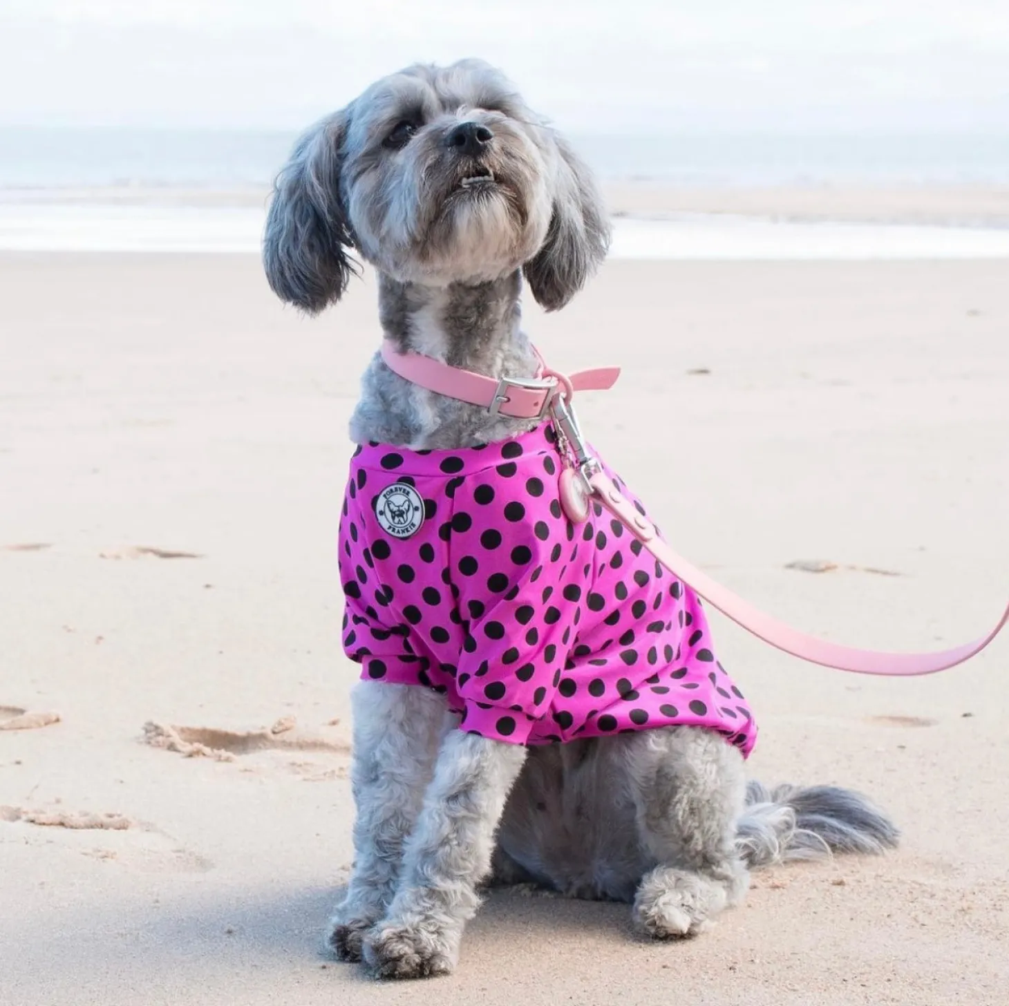 Bubble-Gum Pink - Waterproof Collar - End Of Line