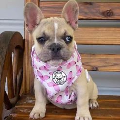 Butterfly Kisses - Adjustable Harness