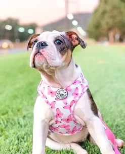 Butterfly Kisses - Adjustable Harness