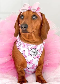 Butterfly Kisses - Adjustable Harness