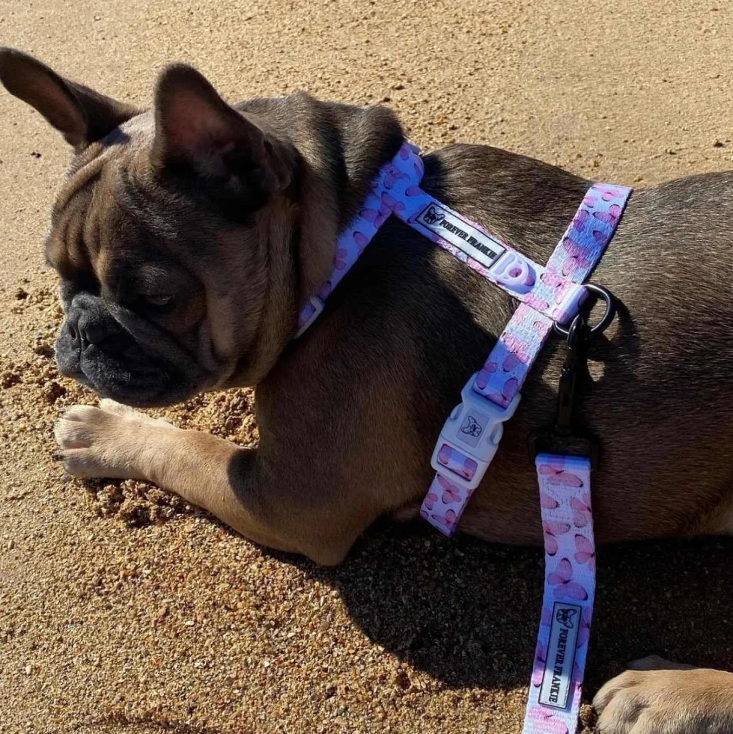 Butterfly Kisses - Strap Harness