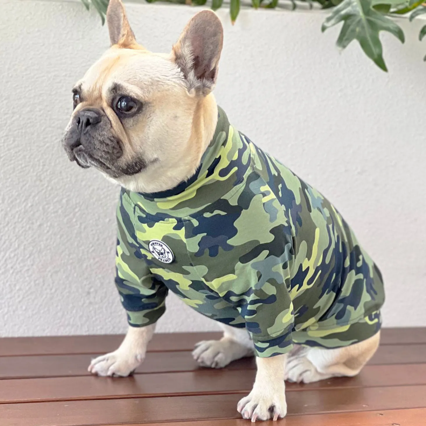Camo Dog Skivvie (Limited Edition)