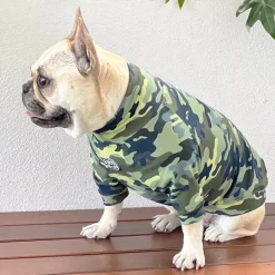 Camo Dog Skivvie (Limited Edition)