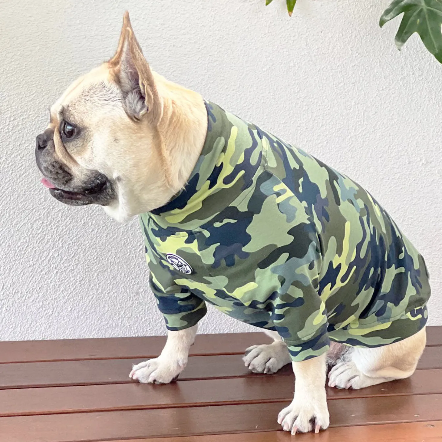 Camo Dog Skivvie (Limited Edition)
