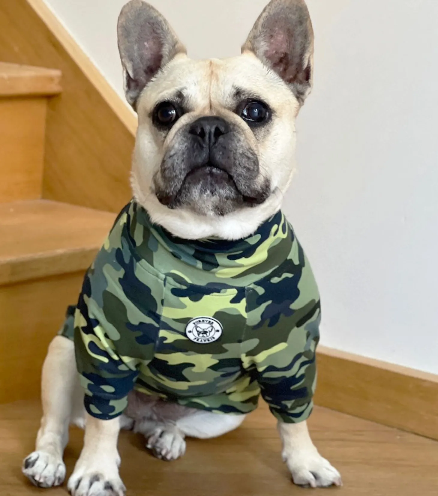 Camo Dog Skivvie (Limited Edition)