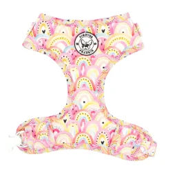 Chasing Rainbows - Adjustable Harness