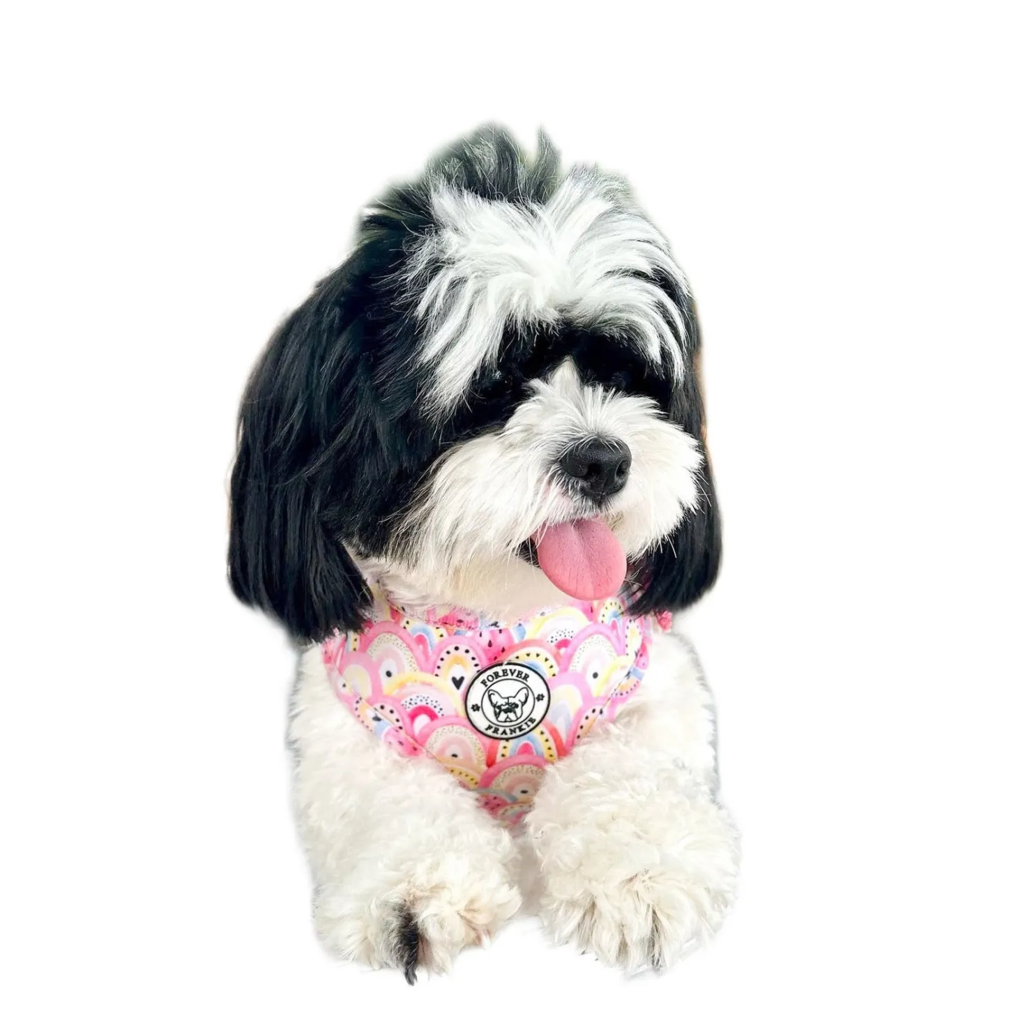 Chasing Rainbows - Adjustable Harness