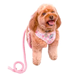 Chasing Rainbows - Adjustable Harness