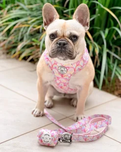 Chasing Rainbows - Adjustable Harness