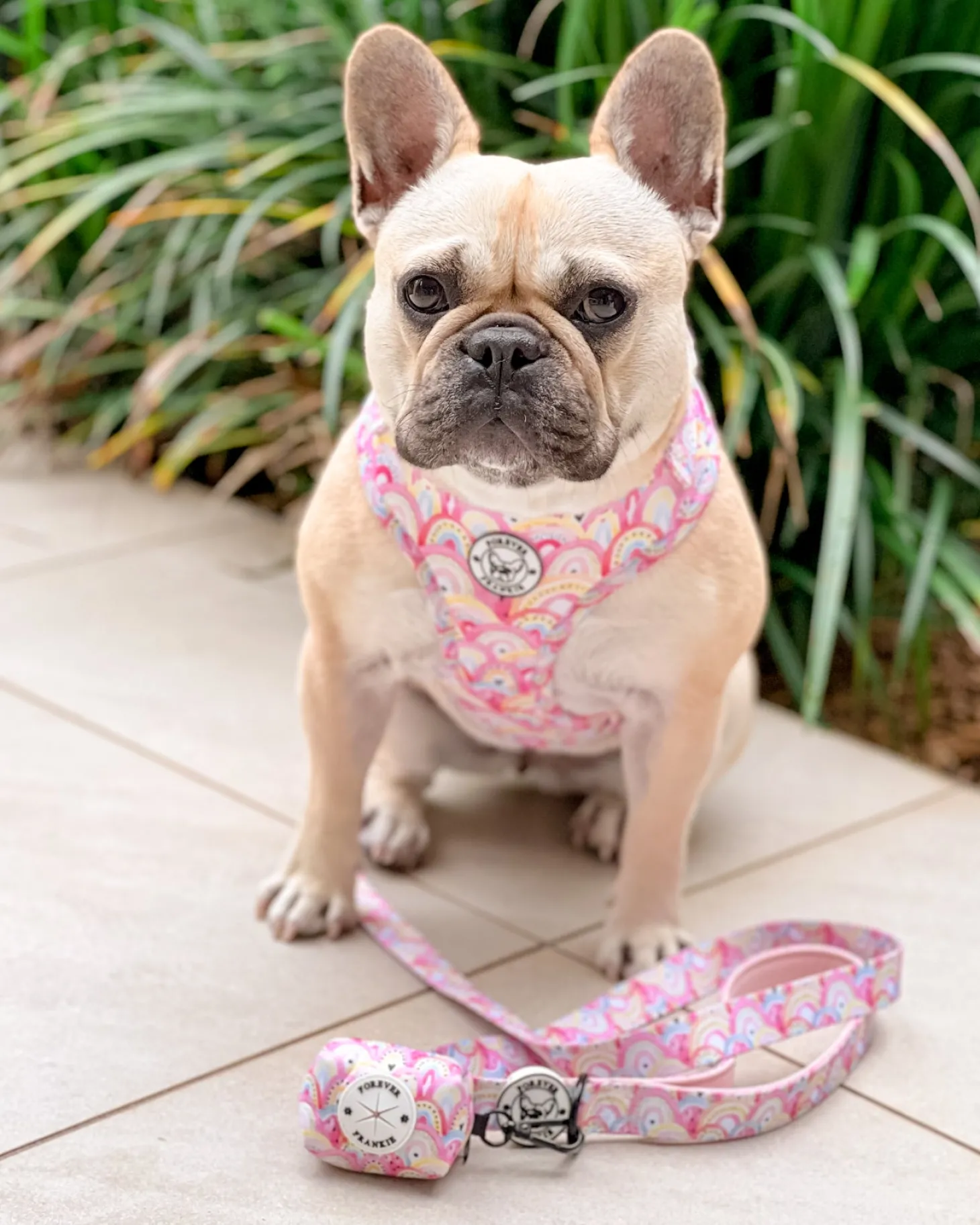 Chasing Rainbows - Adjustable Harness